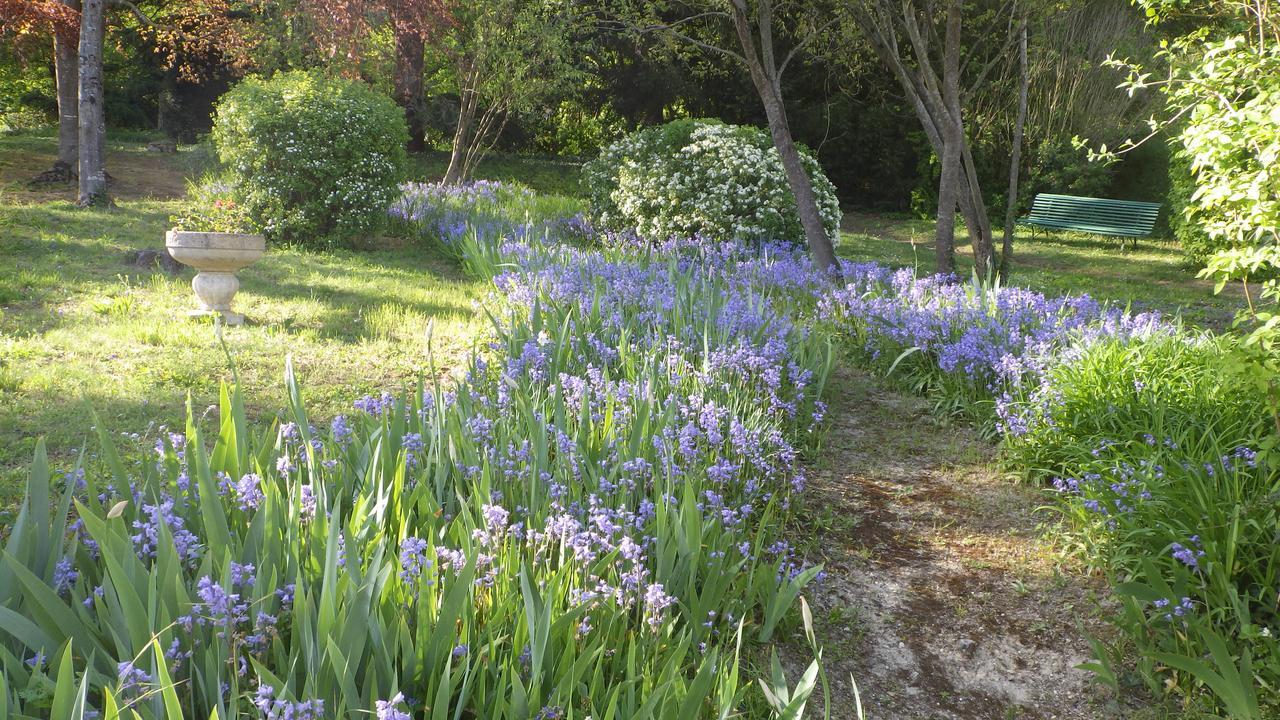 Le Manoir De La Baldette Bed & Breakfast Gennes-Val-de-Loire Luaran gambar