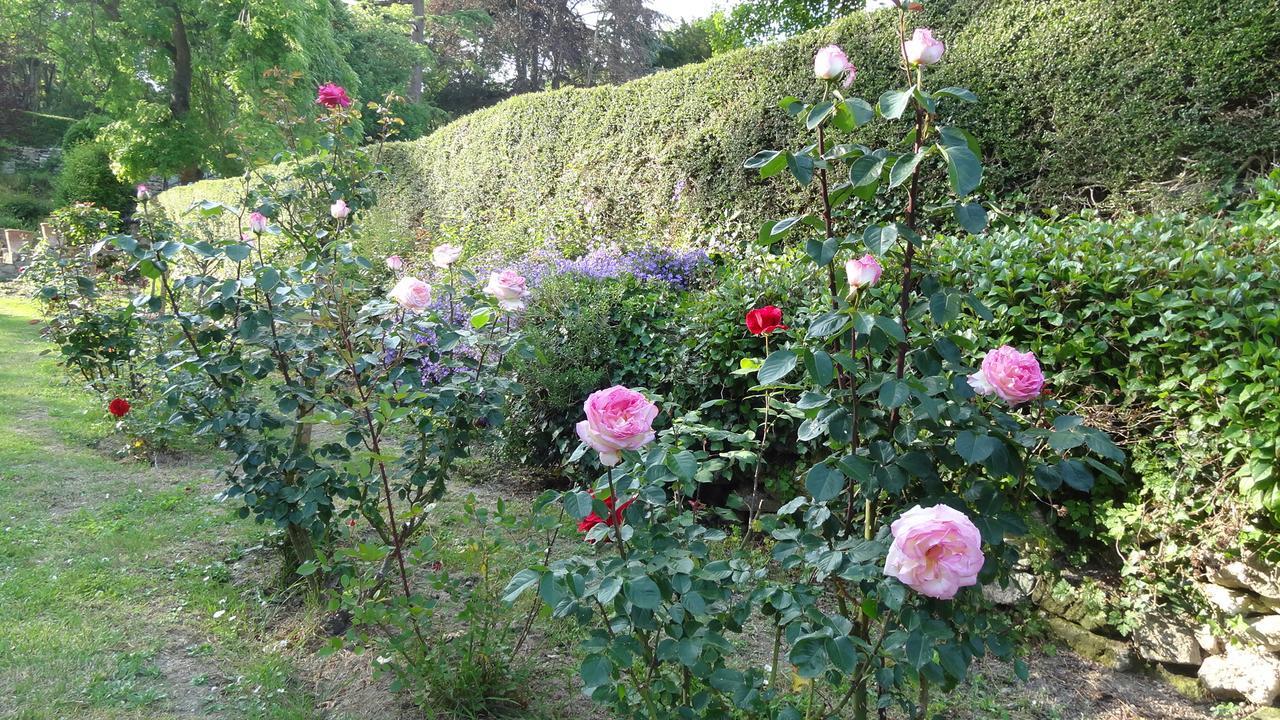 Le Manoir De La Baldette Bed & Breakfast Gennes-Val-de-Loire Luaran gambar