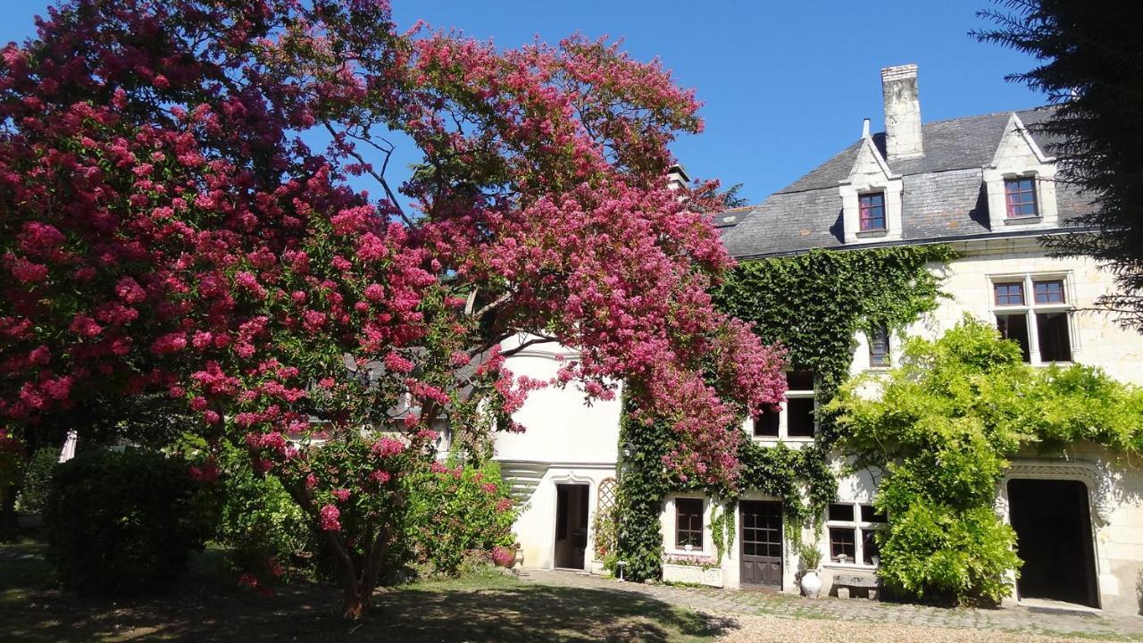Le Manoir De La Baldette Bed & Breakfast Gennes-Val-de-Loire Luaran gambar